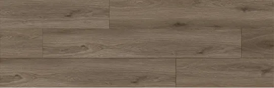 HD828