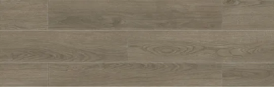 D13