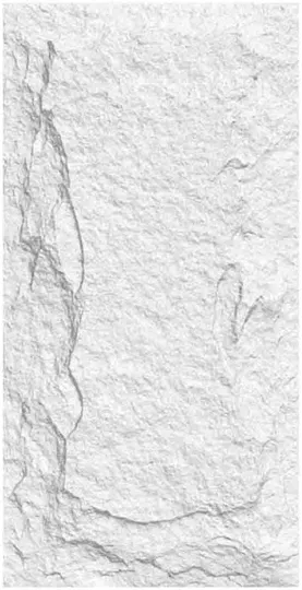 PU-001