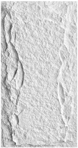 PU-005