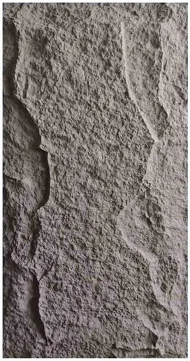PU-009