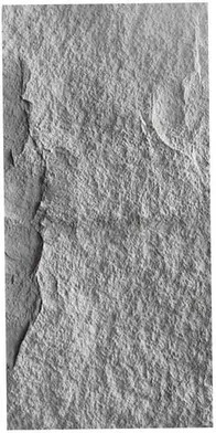 PU-052