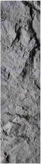 PU-297