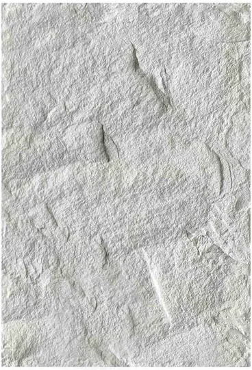 PU-311