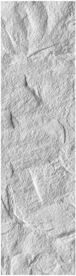 PU-313