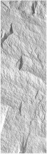 PU-318