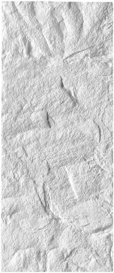 PU-319