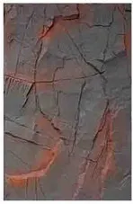 PU-343
